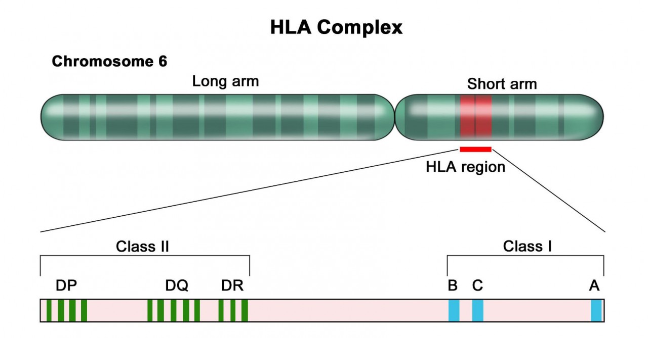 Регион класса I