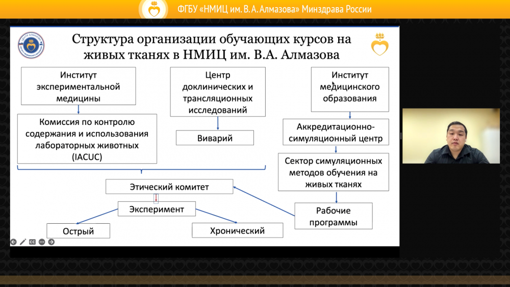Обучение на живых тканях реалии и перспективы WetLab в РФ