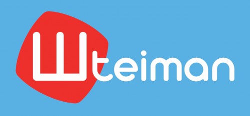 4.штейман-print-blue