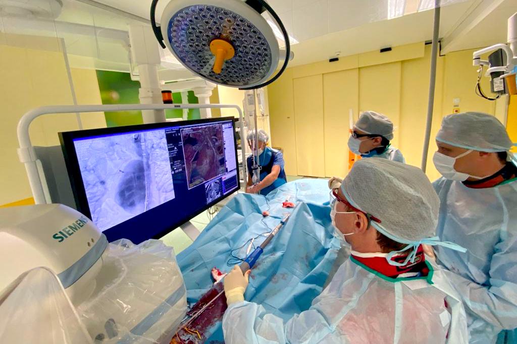 4782d9da-ed2a-42c3-a708-eddee45be20b_0