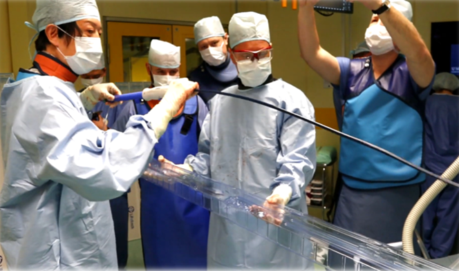 CVC 2022 фото 2222