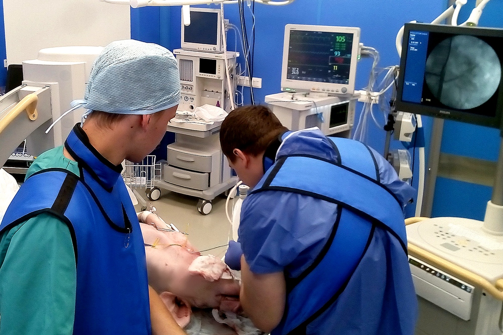 IMG_20190731_140730_0_0_0