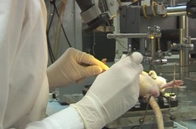 Prioritetnyye temy gosudarstvennogo zadaniya_3