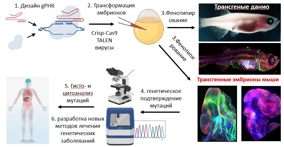 REDKIYe  ZABOLEVANIYA-2024