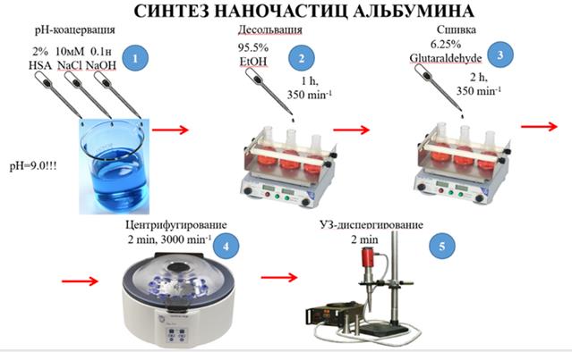 Sintez nanochastits al'bumina