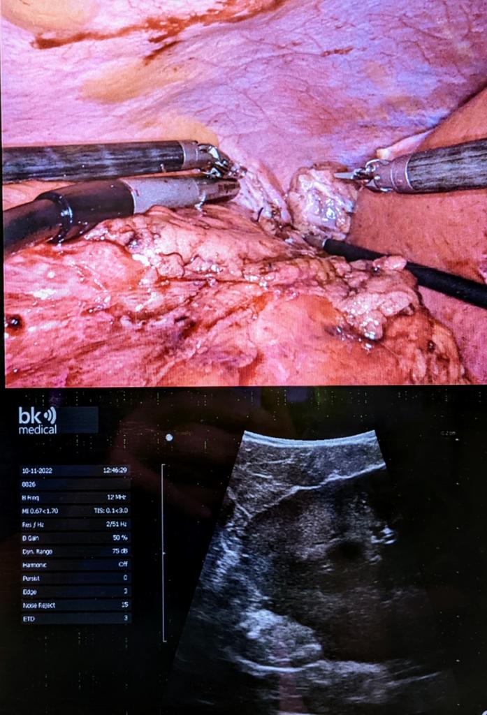 WhatsApp Image 2023-01-11 at 15.56.00 (1)