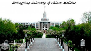 mezhdunarodnoye sotrudnichestvo_2023_2