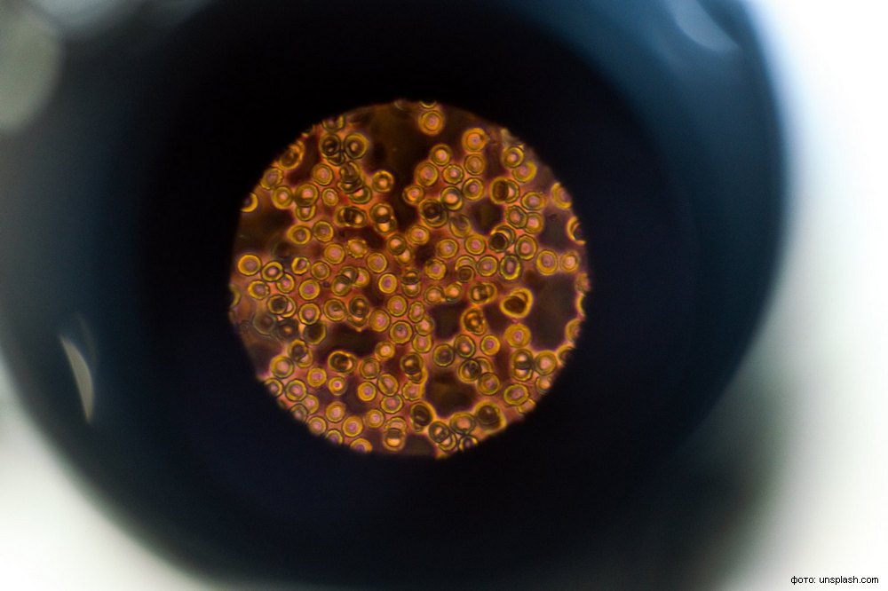 thisisengineering-raeng-p_v9fjRxUR8_0