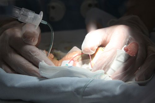 jacqueline-kelly-PeUJyoylfe4_0