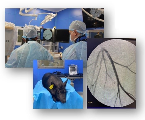 НИЛ технологии