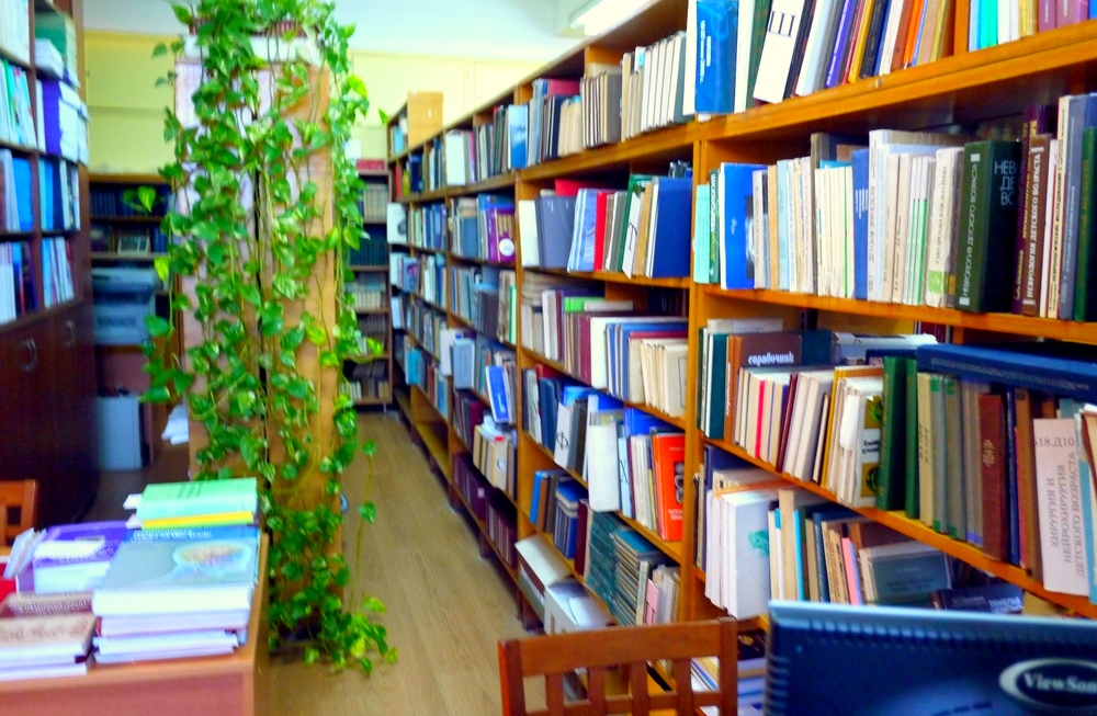 sarah-shaffer-O3gOgPB4sRU_0