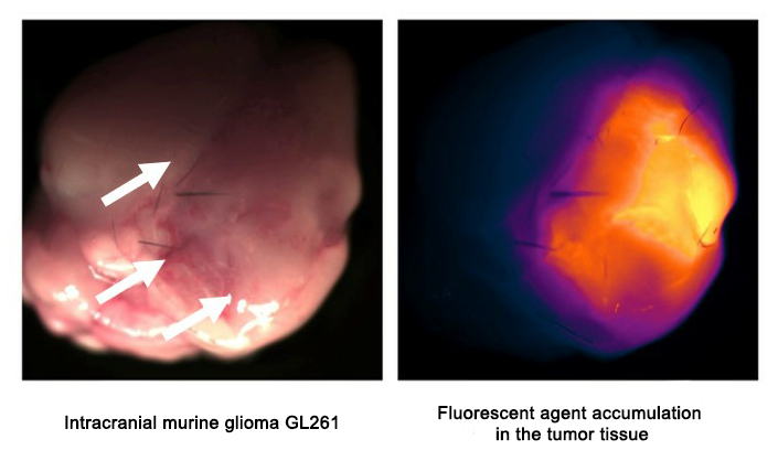 Рис. 2_0_англ.