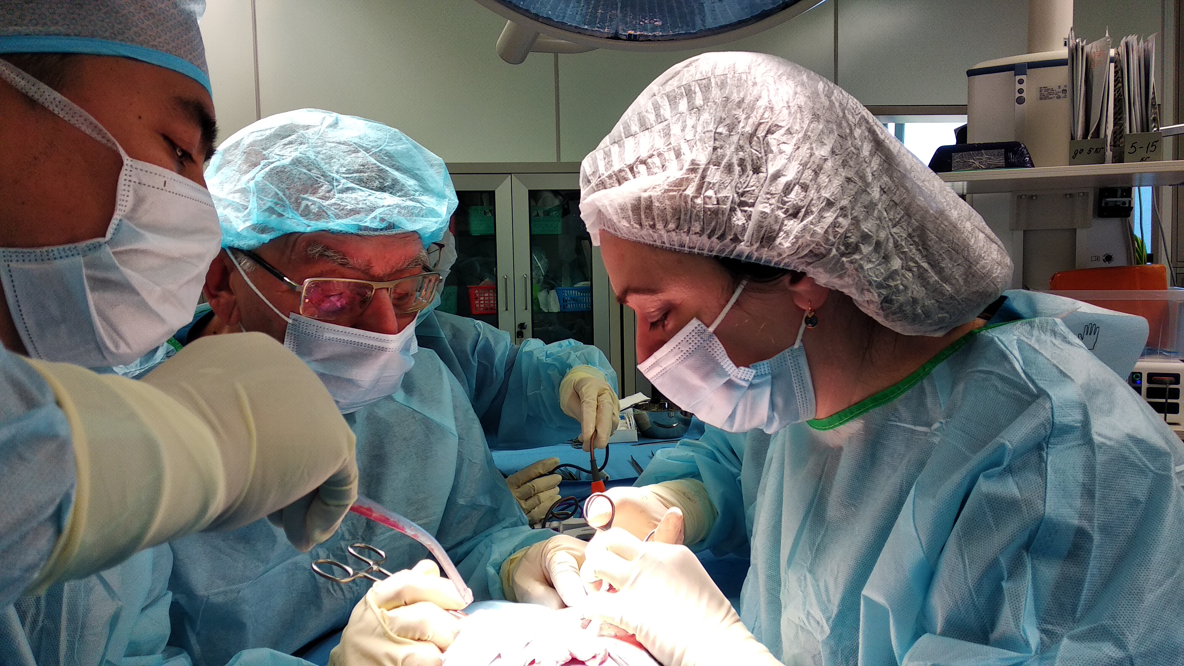 ФОТО главное