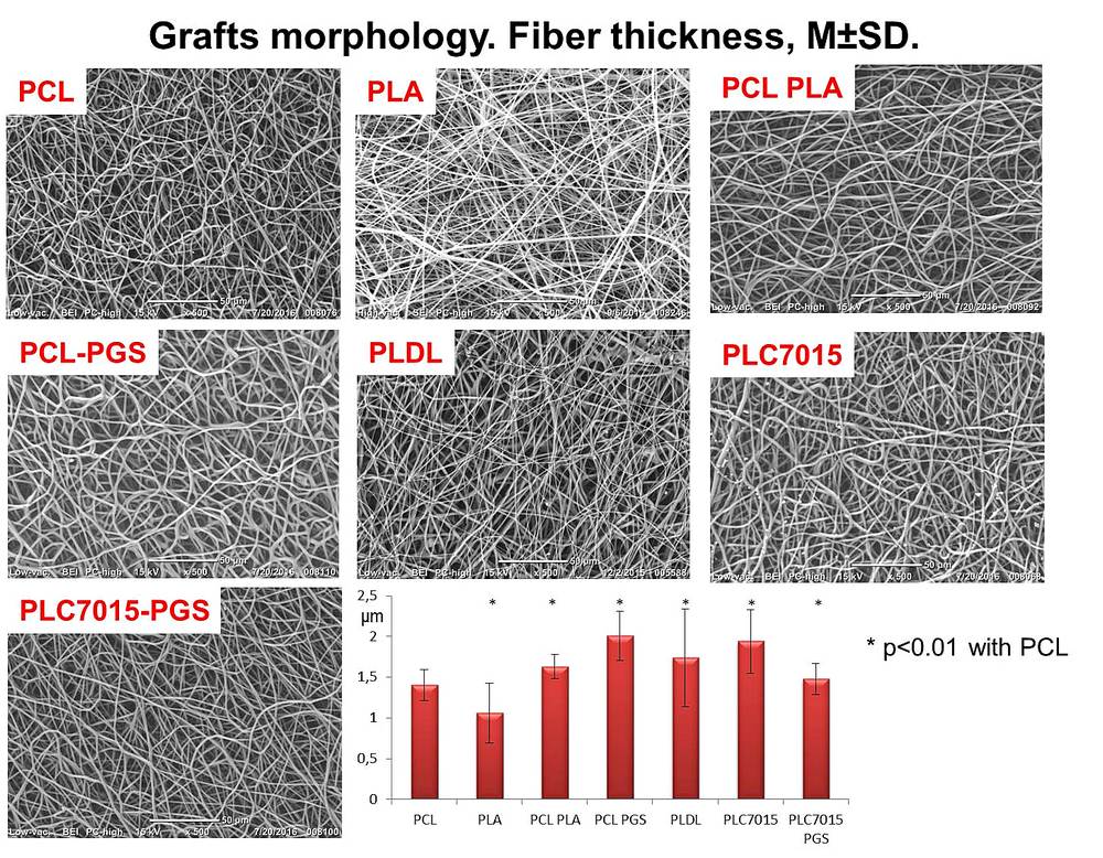 группа генно_1_0
