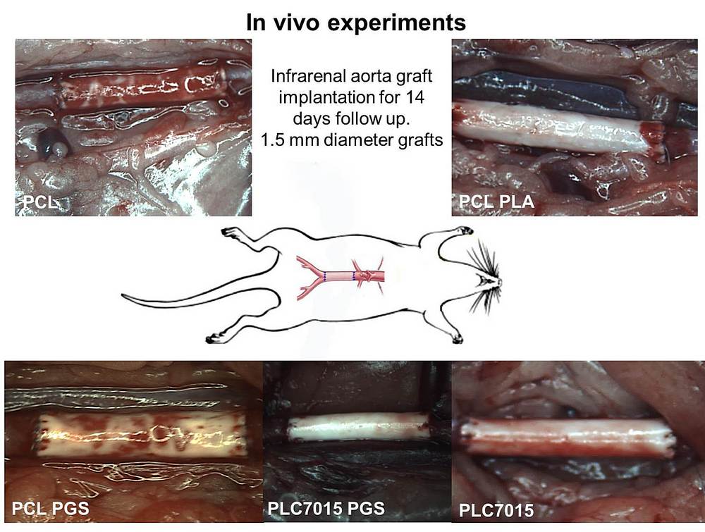 группа генно_2_0