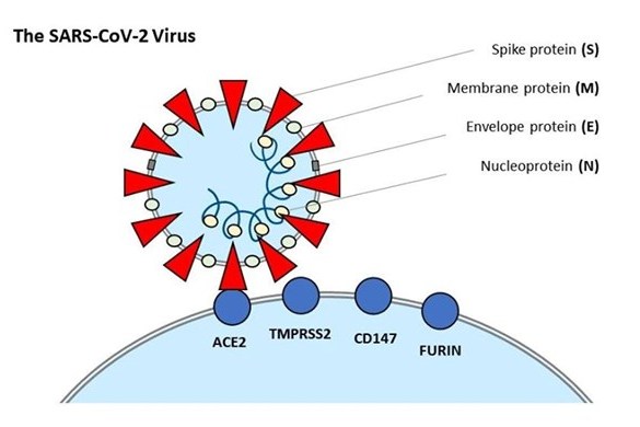 для нвоости_0