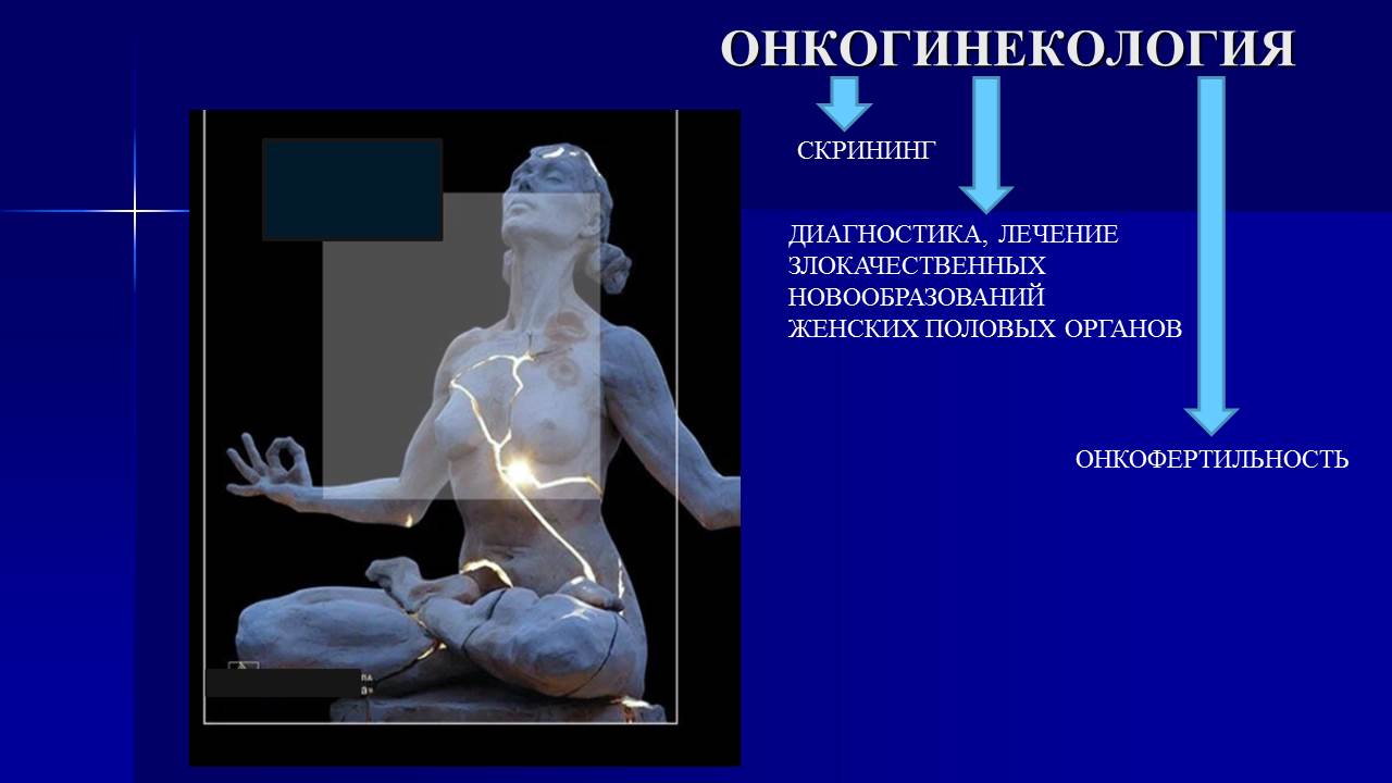 лекция онкопрограмма