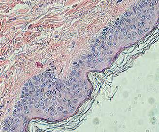 онкология и гематология6
