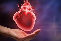 jacqueline-kelly-PeUJyoylfe4_0