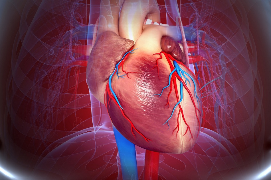 helloquence-OQMZwNd3ThU_0