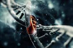 helloquence-OQMZwNd3ThU_0