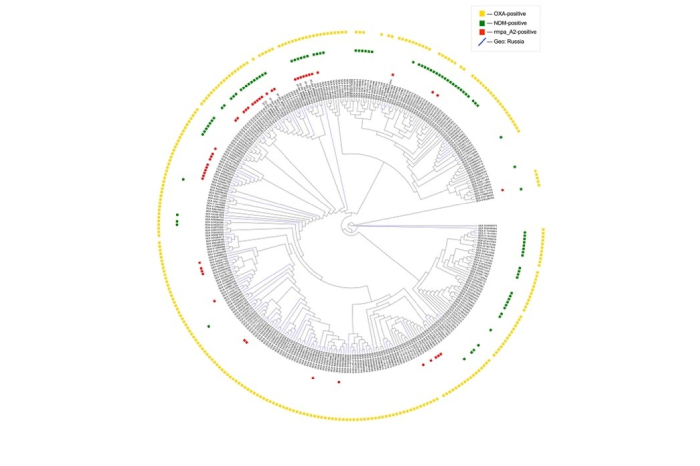 фото к новости