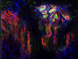 helloquence-OQMZwNd3ThU_0