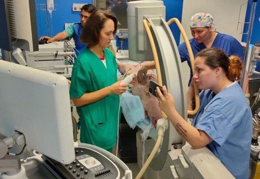 jacqueline-kelly-PeUJyoylfe4_0